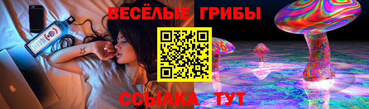 Котельники  даркнет сайт  Вход с VPN  Галлюциногенные грибы Cubensis 